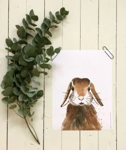 Kaverini Sella Luppakorva Juliste 30x40 Cm -Emibig Store 18632189 kanijuliste 1920 1080