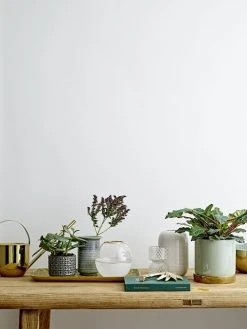 Bloomingville Heba Lasimaljakko Kirkas -Emibig Store 23603804 21