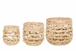 4Living Sara Korisetti