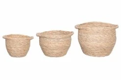 4Living Mary Korisetti