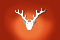 Radius Design Trophy Seinänaulakko Musta