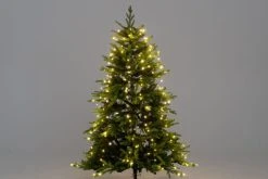 Finnlumor Kuusenvalosarja Micro 200LED 12 Finnlumor Kuusenvalosarja Micro 200LED -Emibig Store 609252