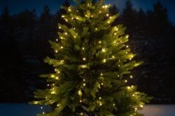 Finnlumor Kuusenvalosarja Micro 200LED 13 Finnlumor Kuusenvalosarja Micro 200LED -Emibig Store 609252 A 05