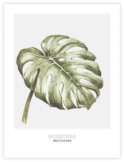 Artlink Peikonlehti Juliste 30x40 Cm -Emibig Store 81207