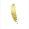 Artlink Kultainen Höyhen Juliste 30x40 Cm -Emibig Store 81272 1