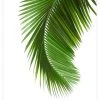 Artlink Palmun Lehti Juliste 30x40 Cm