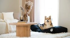 Veke Kamu Koiranpeti 80x60 Cm Musta -Emibig Store Kamu koirapeti miljoossa web 1