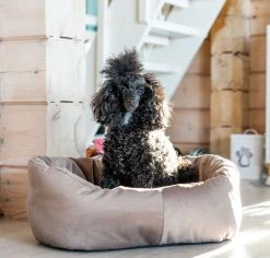 Veke Kuutti Koiranpeti Beige -Emibig Store Kuutti koirapeti miljoossa beige web 6