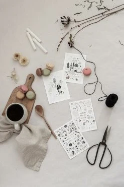 Xeraliving METSÄKISSAT Postikortti 10,5x14,8 Cm 7 Xeraliving METSÄKISSAT Postikortti 10,5x14,8 Cm -Emibig Store Xeraliving METSAKISSAT postikortti 1