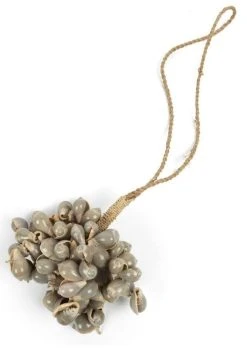 Bazar Bizar Shell Tupsu 40 Cm Harmaa -Emibig Store bale046gr 3 1000x1000 1