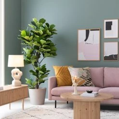 Affari Ella Kynttilänjalka S Beige -Emibig Store house nordic lyyraviikuna viherkasvi 190 cm web 6