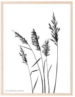 Kaverini Sella Heinät Juliste 30x40 Cm -Emibig Store kaverini designs heinat juliste