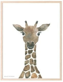 Kaverini Sella Kiraffi Juliste 30x40 Cm