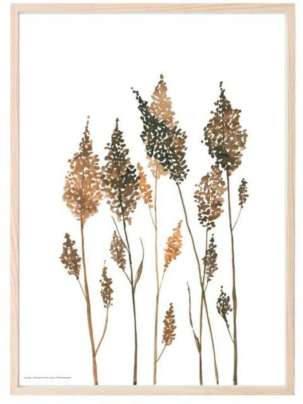 Kaverini Sella Ruska Juliste 50x70 Cm - Image 5