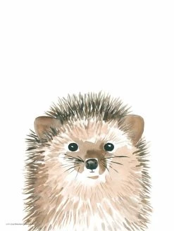 Kaverini Sella Siili Juliste 30x40 Cm -Emibig Store kaverini designs siili juliste1