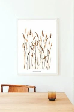 Kaverini Sella Villi Vilja Juliste 30x40 Cm -Emibig Store kaverini designs villi vilja juliste1