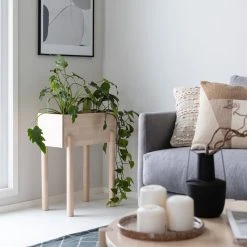 Veke Koivu Kukkateline Koivu Luonnonväri -Emibig Store koivu kukkateline koivu web 8